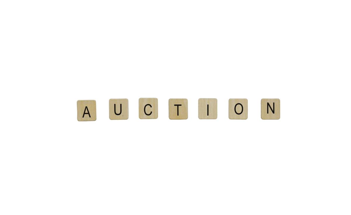 A person holding a bidding paddle at a property auction